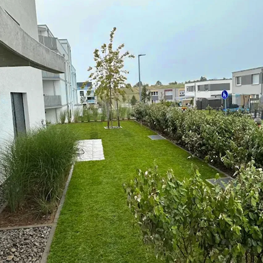 Lulzim Gartenbau Beispielgarten von einem Kunden - Hecke geschnitten und wiese gelegt